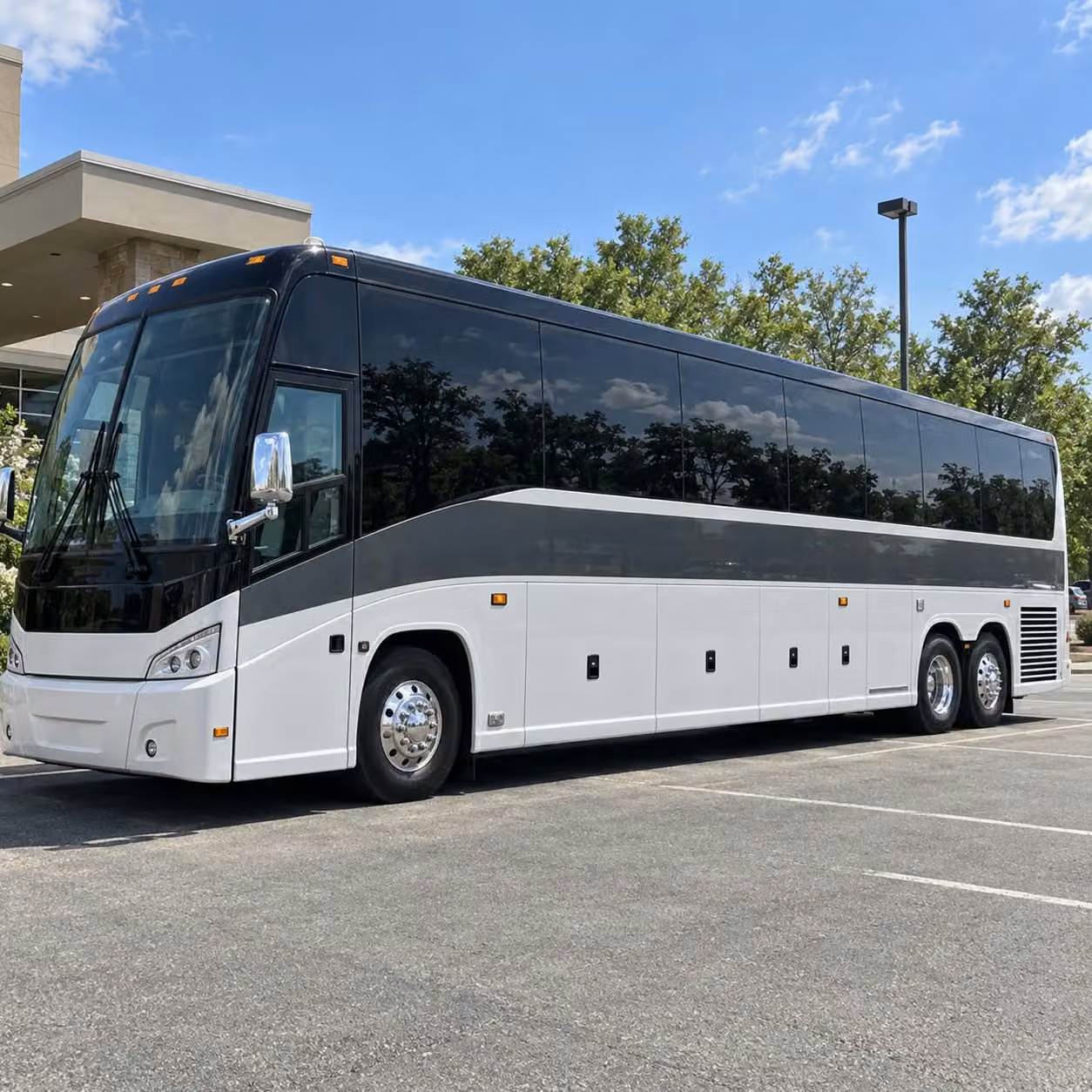 56 passenger charter bus